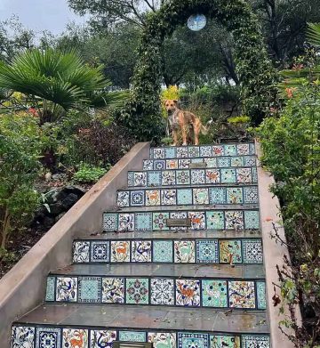 Little Creek Backyard Main Stairway Risers with Misihka 1 Tile stair risers in Little creek
